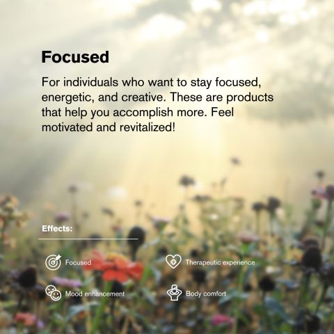 25mg CBC Nano Tablets - Unflavored - Thumbnail 6