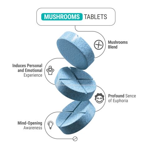 1,200mg Magic Mushroom Tablets - Blueberry - Shrooomies - Thumbnail 4