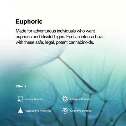 1,200mg Magic Mushroom Tablets - Blueberry - Shrooomies - Thumbnail 7