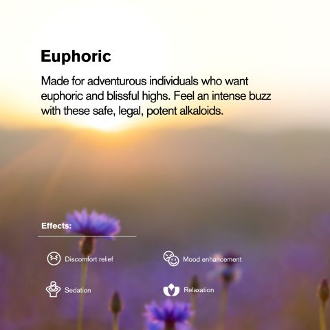 20mg 7-Hydroxy Tablets - Peach - Thumbnail 6