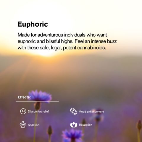 20mg 7-Hydroxy Tablets - Blueberry - Thumbnail 6