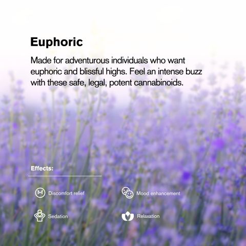 60mg 7-Hydroxy Tablets - Blueberry - Thumbnail 6