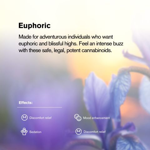 100mg Kratom Extract MIT-100 Tablets - Berries - Thumbnail 6