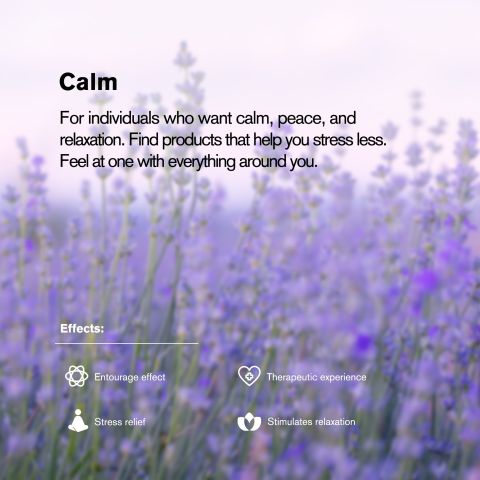 25mg Broad Spectrum CBD Nano Tablets - Grape - Thumbnail 6