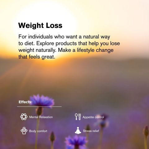 L-THP Tablets - Green Apple Ming - Thumbnail 7