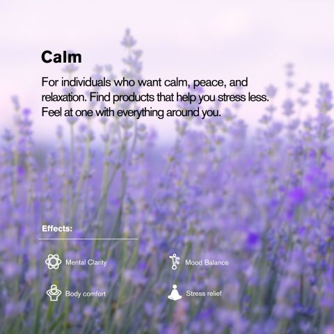 L-Theanine, L-THP, Ashwagandha Tablets - Peach Citrus - Thumbnail 7