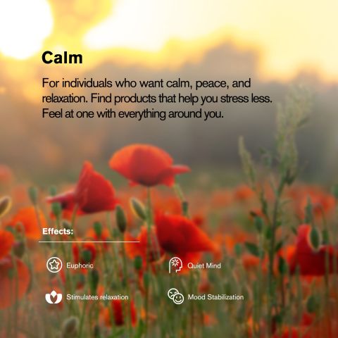 30mg Cat's Claw Tablets - Berries - Thumbnail 7