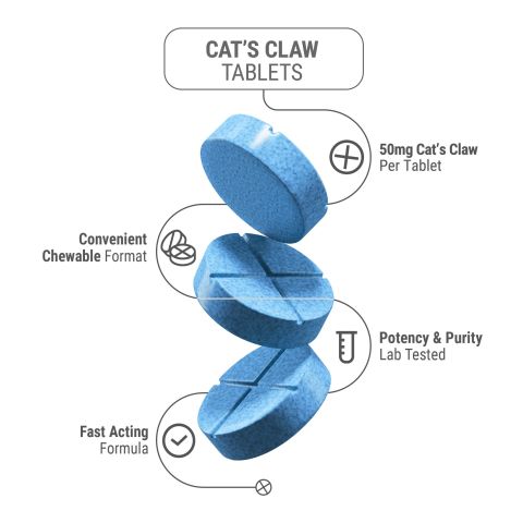 50mg Cat's Claw Tablets - Blueberry - Thumbnail 5