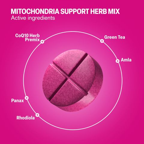 500mg Mitochondria Support Herb Mix - Lemon Berry - Thumbnail 5