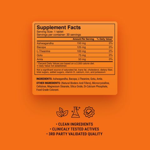 500mg Calm Focus - Mango Mint - Thumbnail 9