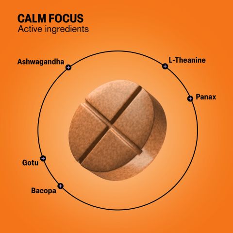 500mg - Calm Focus - Mango Mint - Mood Tablets - Thumbnail 5