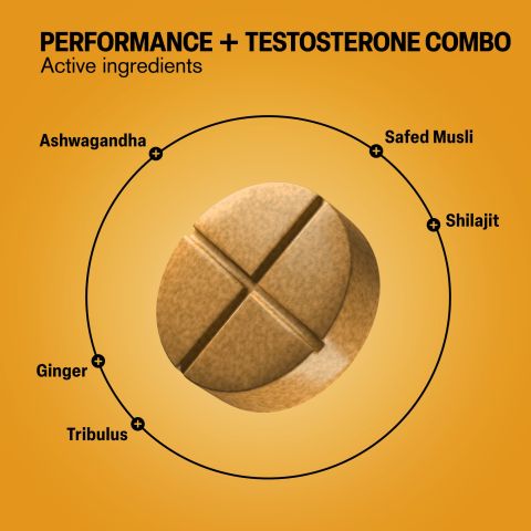 500mg Performance+Testosterone Combo - Spiced Citrus - Thumbnail 5