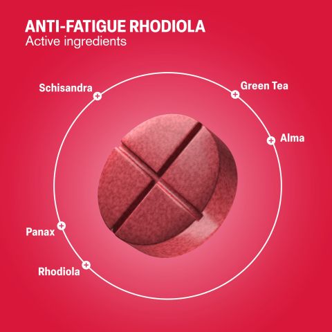 500mg Anti-Fatigue Rhodiola - Cranberry Hibiscus - Thumbnail 5