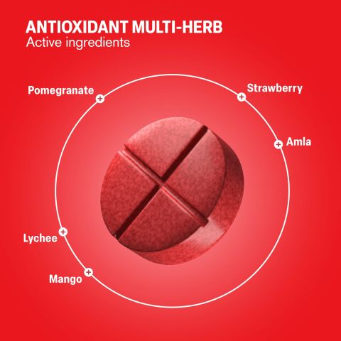 500mg Antioxidant Multi-Herb - Fruit Punch - Thumbnail 5