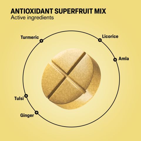 500mg Cold Season Support - Honey Ginger Lemon - Thumbnail 5