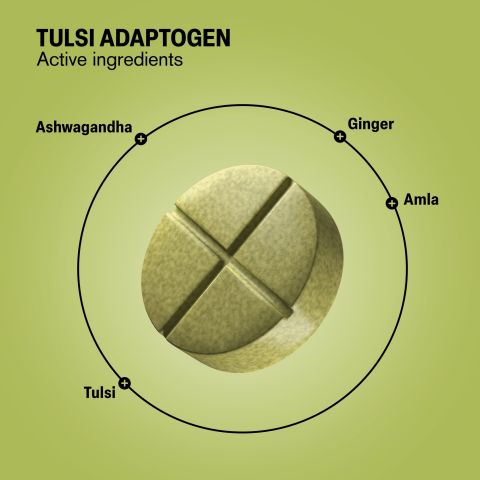 500mg Tulsi Immune Adaptogen - Tulsi Lemon - Thumbnail 5