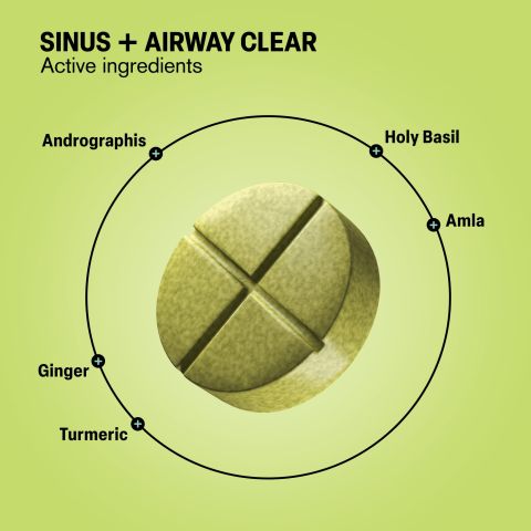 500mg Sinus + Airway Clear - Lemon Eucalyptus - Thumbnail 5