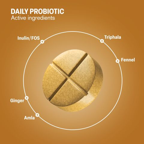500mg Daily Prebiotic - Lemon Ginger - Thumbnail 5