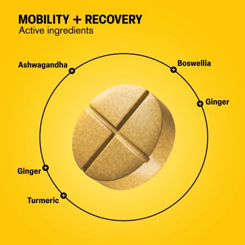 500mg Mobility + Recovery - Lemon Ginger - Thumbnail 5