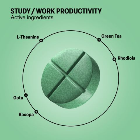 500mg Study Work Productivity - Lime Mint - Thumbnail 5