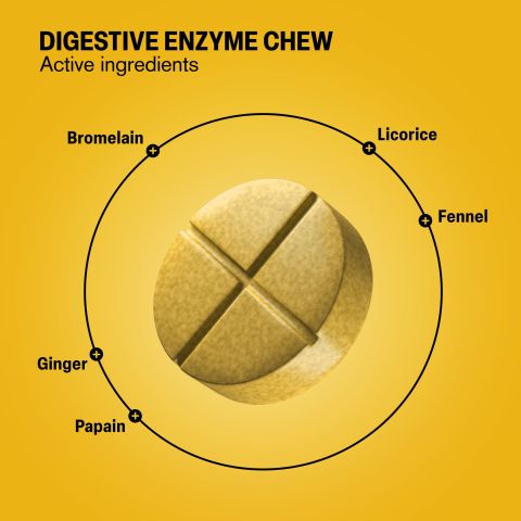 500mg Digestive Enzyme - Pineapple Papaya - Thumbnail 5