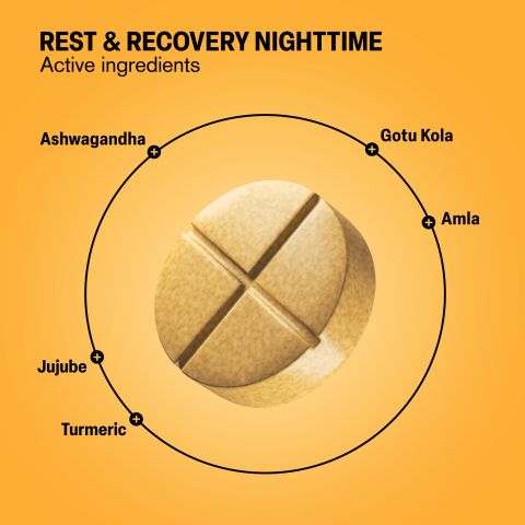 500mg Rest & Recovery Nighttime - Golden Milk - Thumbnail 5