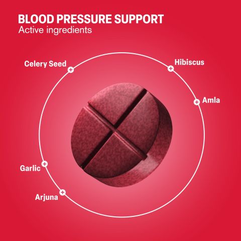 500mg Blood Pressure Support - Hibiscus Berry - Thumbnail 5