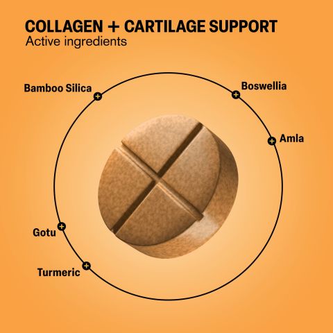 500mg Collagen + Cartilage Support - Orange Peach - Thumbnail 5