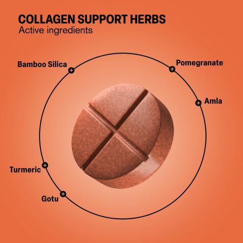 500mg Collagen Support Herbs - Peach Pomegranate - Thumbnail 5