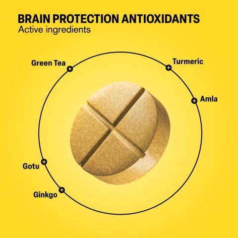500mg Brain Protection Antioxidants - Lemon Ginger - Thumbnail 5