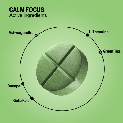 500mg Calm Focus - Matcha Citrus - Thumbnail 5