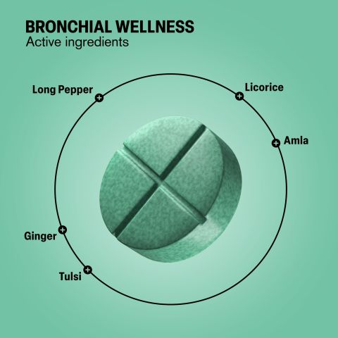 500mg Bronchial Wellness - Eucalyptus Mint - Thumbnail 5