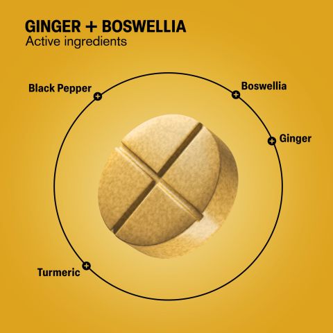 500mg Ginger + Boswellia - Spiced Mango - Thumbnail 5