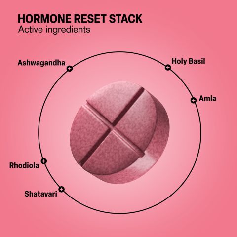 500mg Hormone Reset Stack - Berry Rose - Thumbnail 5