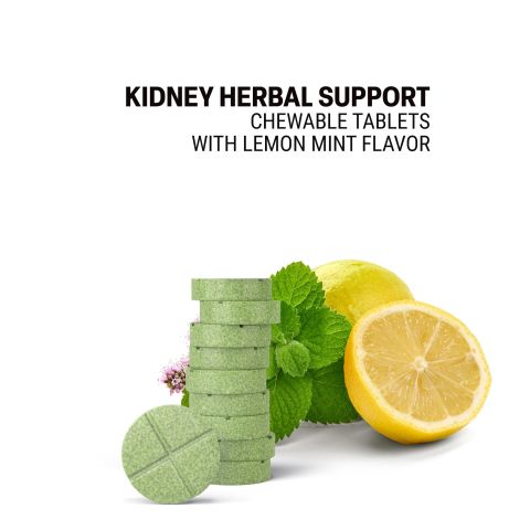 500mg Kidney Herbal Support - Lemon Mint - Thumbnail 4