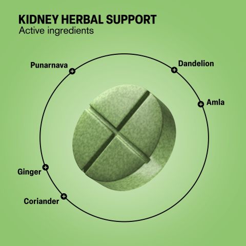 500mg Kidney Herbal Support - Lemon Mint - Thumbnail 5