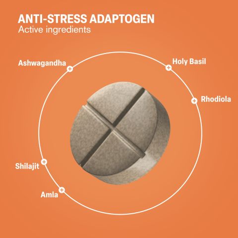 500mg Anti-Stress - Cardamon Vanilla Chai - Thumbnail 5