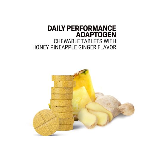500mg Daily Performance Adaptogen - Pineapple Ginger - Thumbnail 4