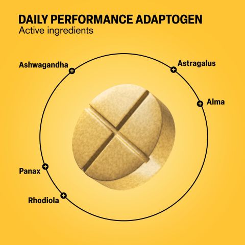 500mg Daily Performance Adaptogen - Pineapple Ginger - Thumbnail 5