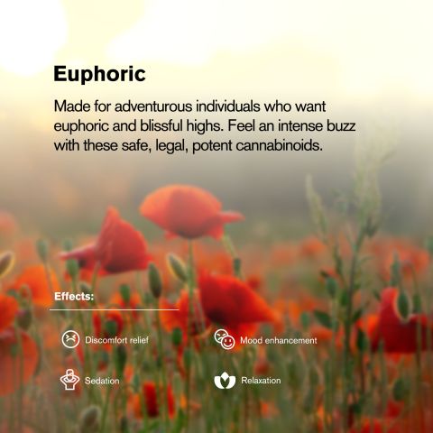 50mg MGM-15 Tablets - Mango + Pineapple - Thumbnail 9