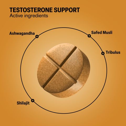500mg Testosterone Support - Spiced Cola - Thumbnail 5