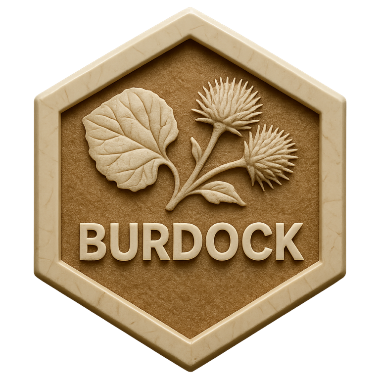 Burdock Products